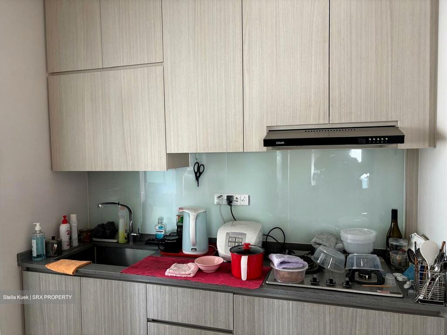 Blk 42A Skyoasis @ Dawson (Queenstown), HDB 3 Rooms #511934361